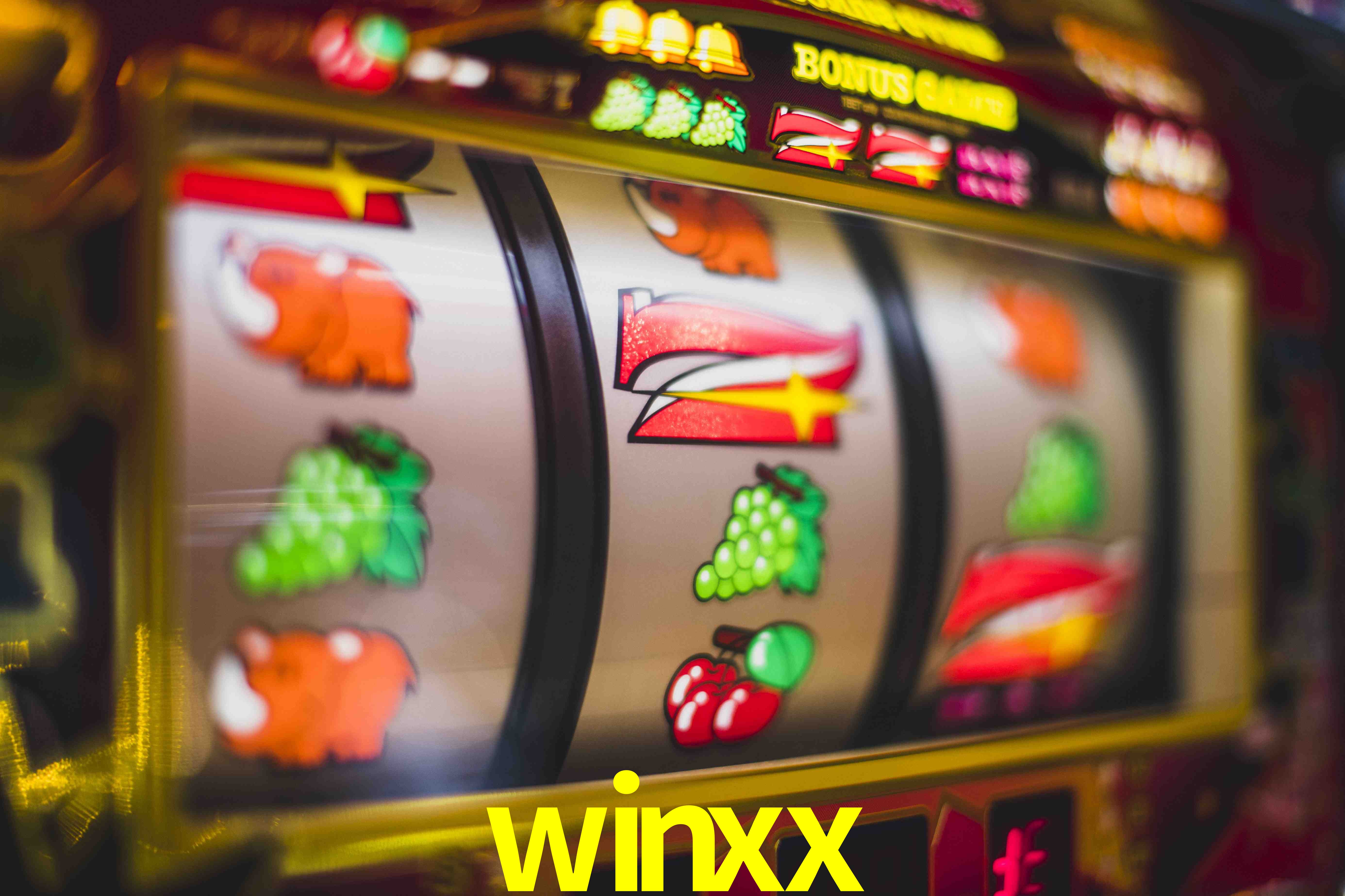 Basketball Betting winxx